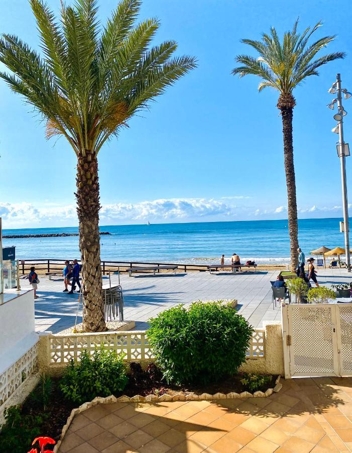 شقة Blue House 1ª Linea Playa تورّيفيِخا المظهر الخارجي الصورة