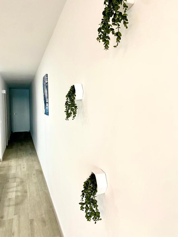 شقة Blue House 1ª Linea Playa تورّيفيِخا المظهر الخارجي الصورة